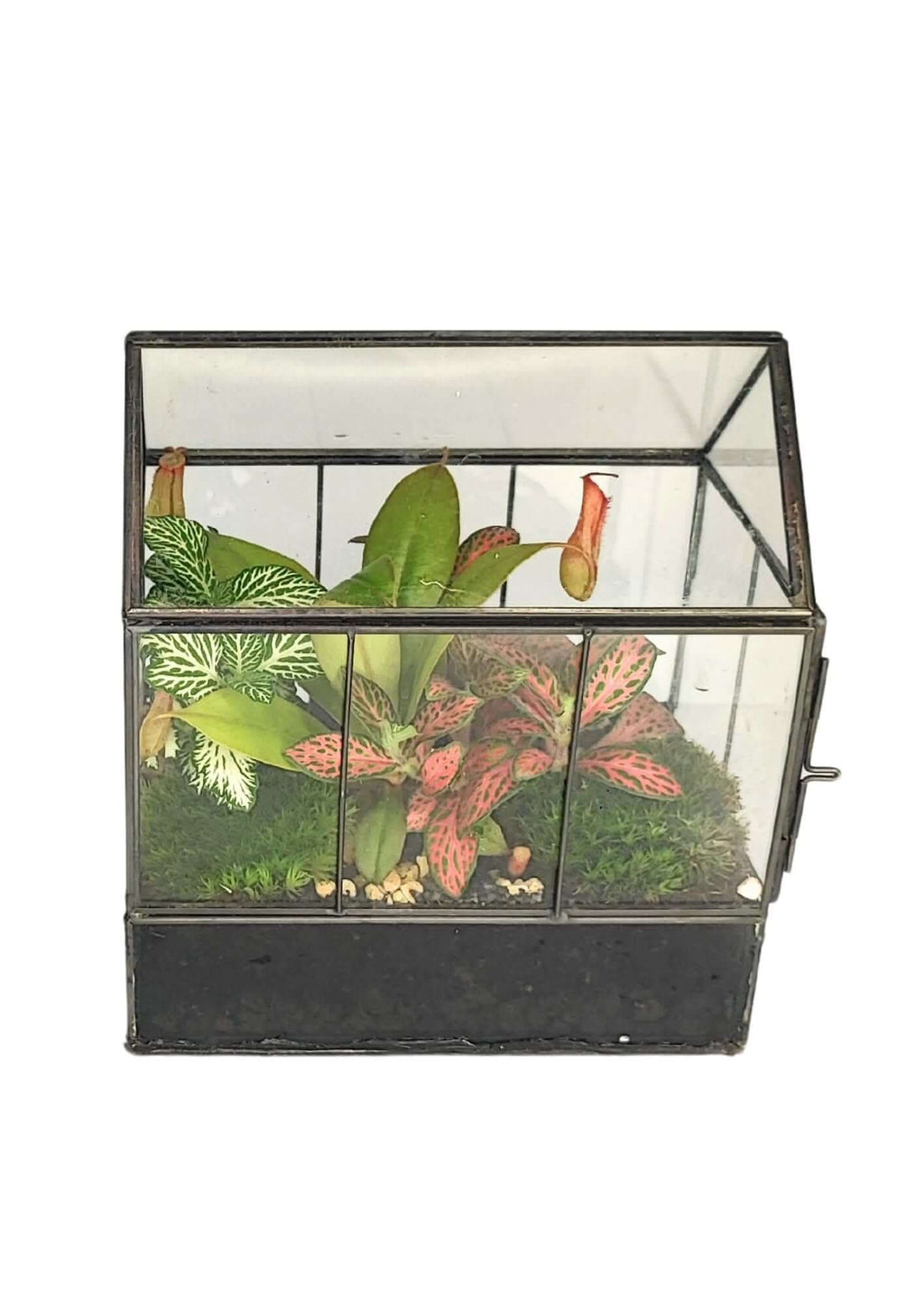 Terrarium geometrico Micro Oasi 2TR062 - Nootje store