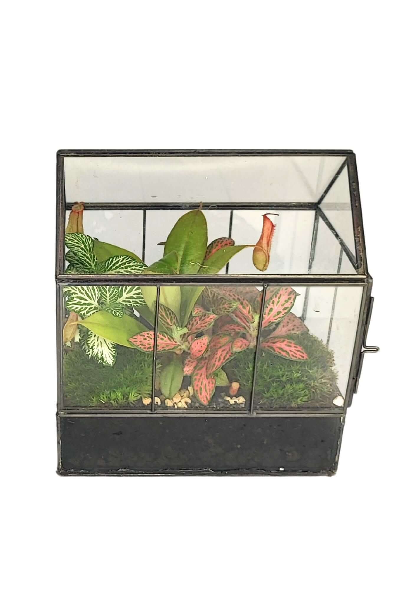 Terrarium geometrico Micro Oasi 2TR062 - Nootje store