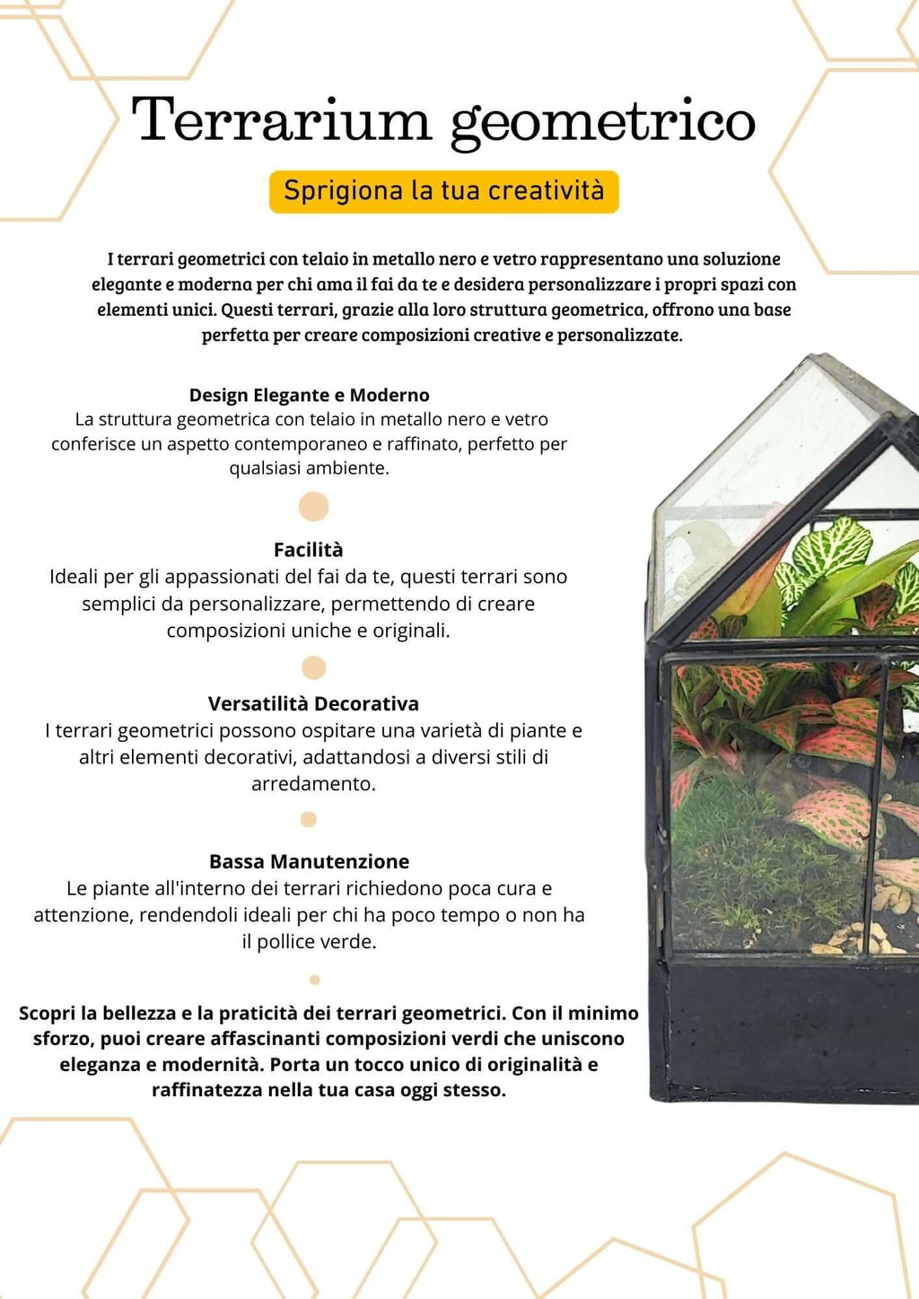 Terrarium geometrico Micro Oasi 2TR062 - Nootje store