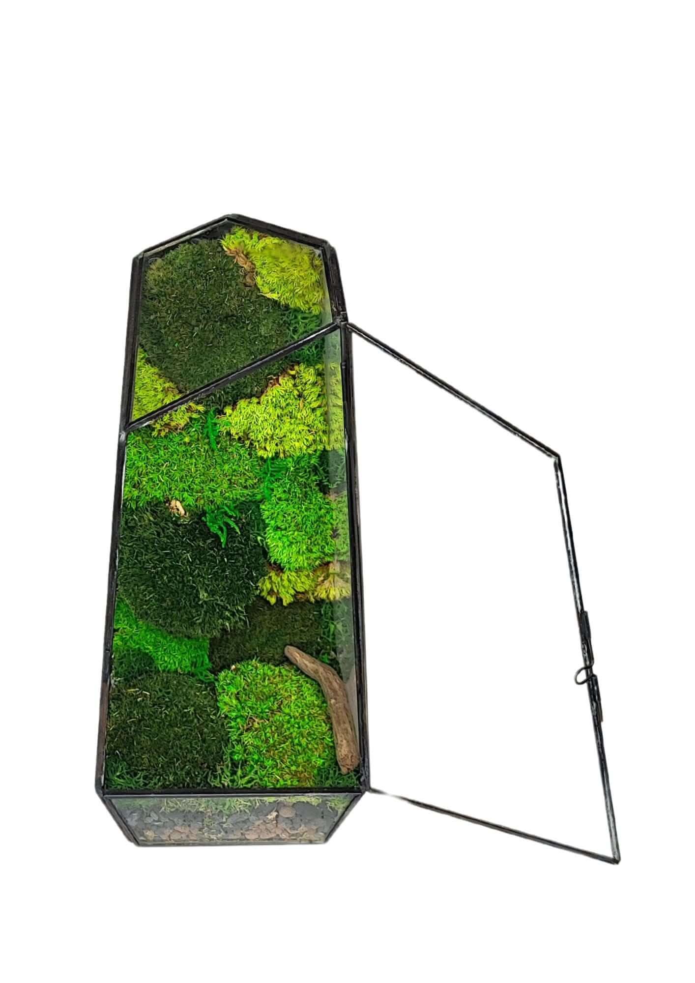 Terrarium geometrico Oasi di Luce 2TR068 - Nootje store