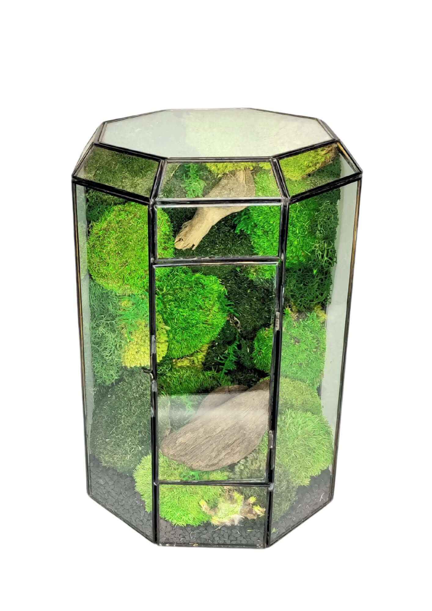 Terrarium geometrico Oasi di Luce 2TR069 - Nootje store
