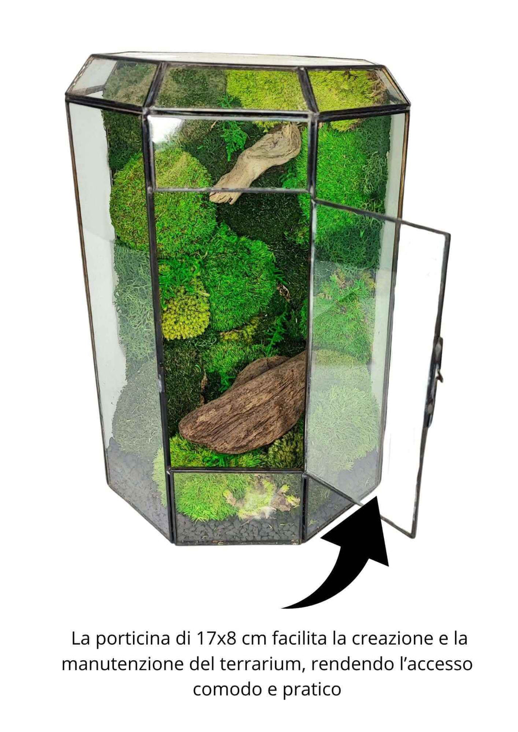 Terrarium geometrico Oasi di Luce 2TR069 - Nootje store