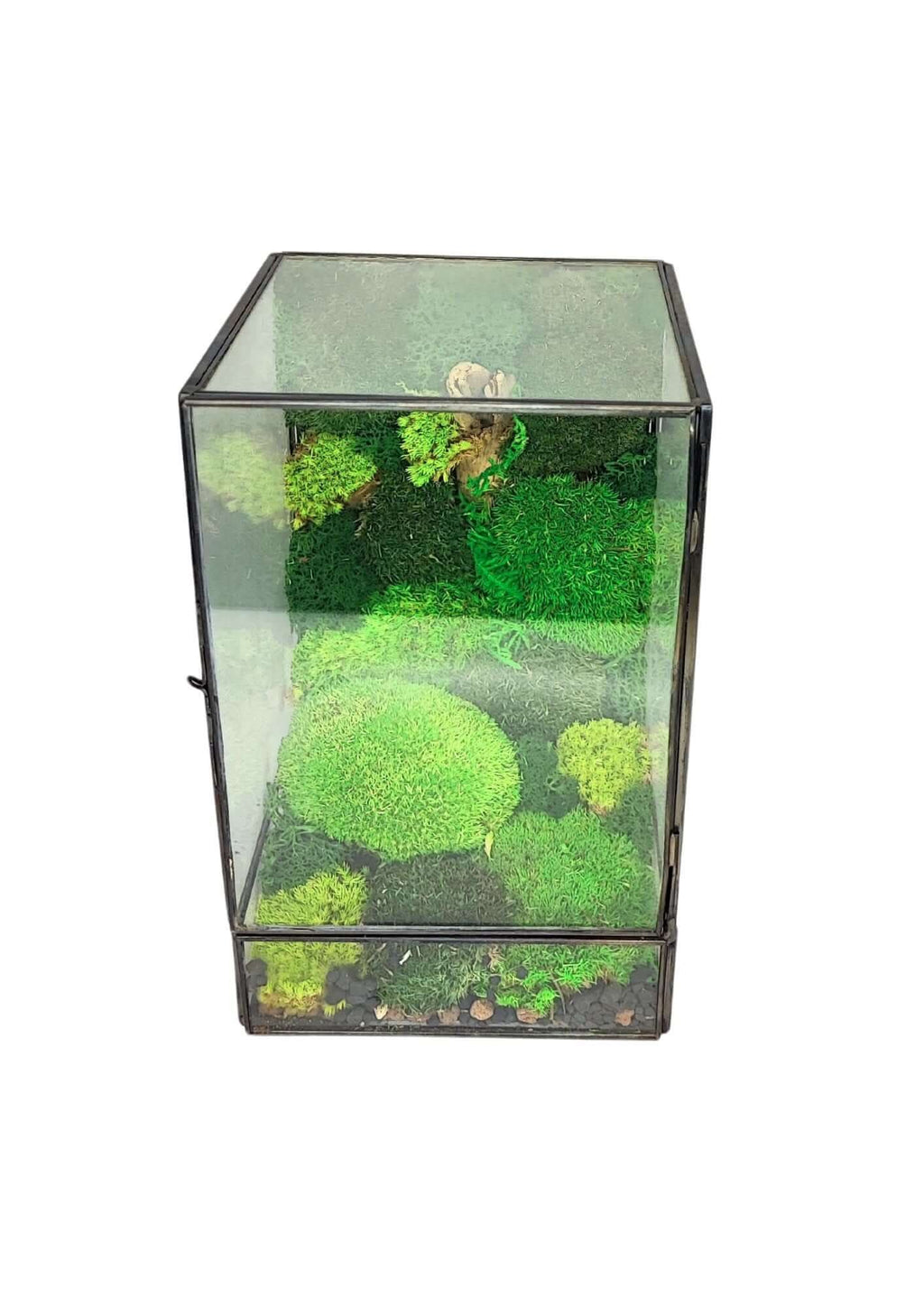 Terrarium geometrico Paradiso Naturale 2TR076 - Nootje store