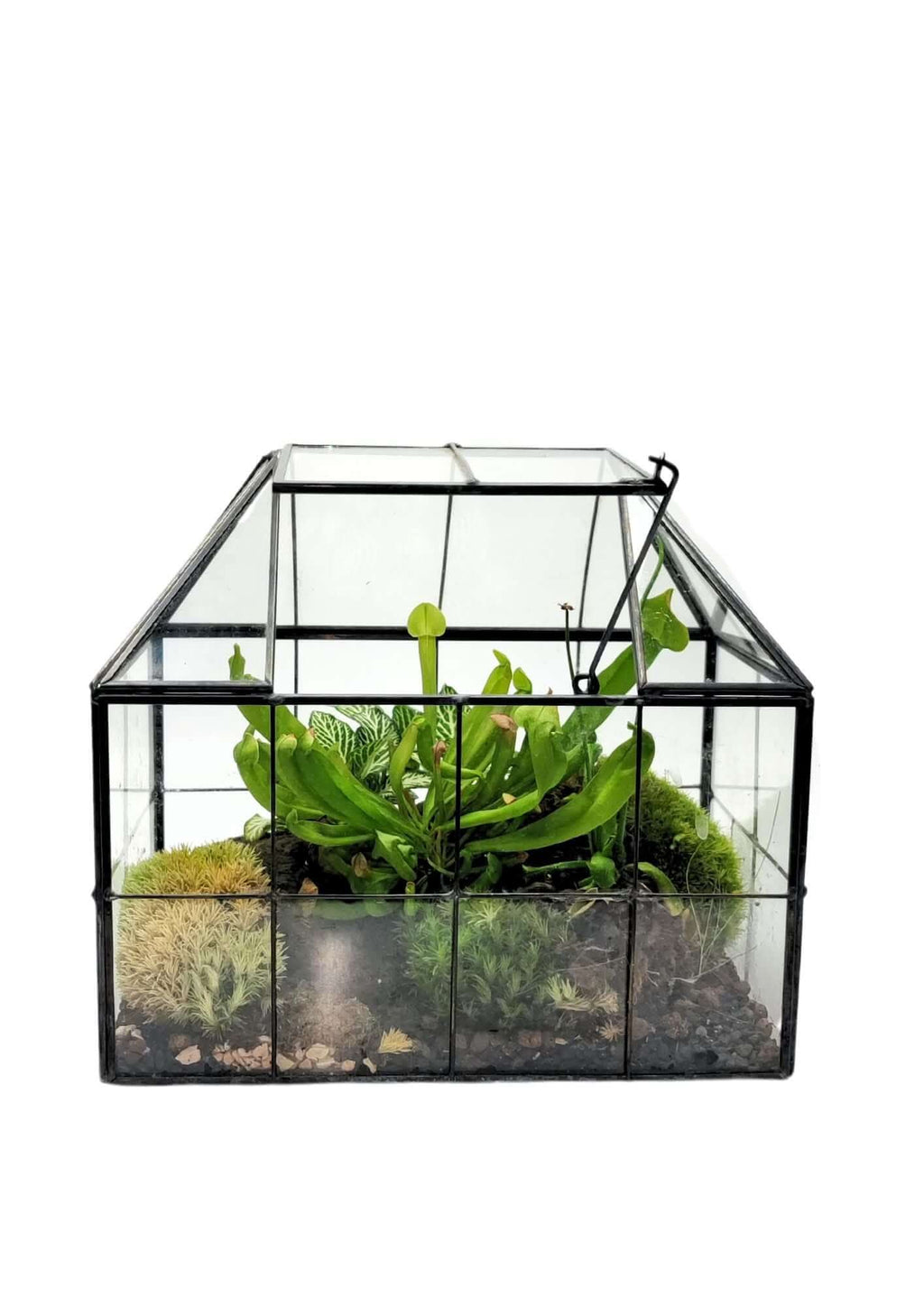 Terrarium geometrico Scrigno della Natura 2TR061 - Nootje store