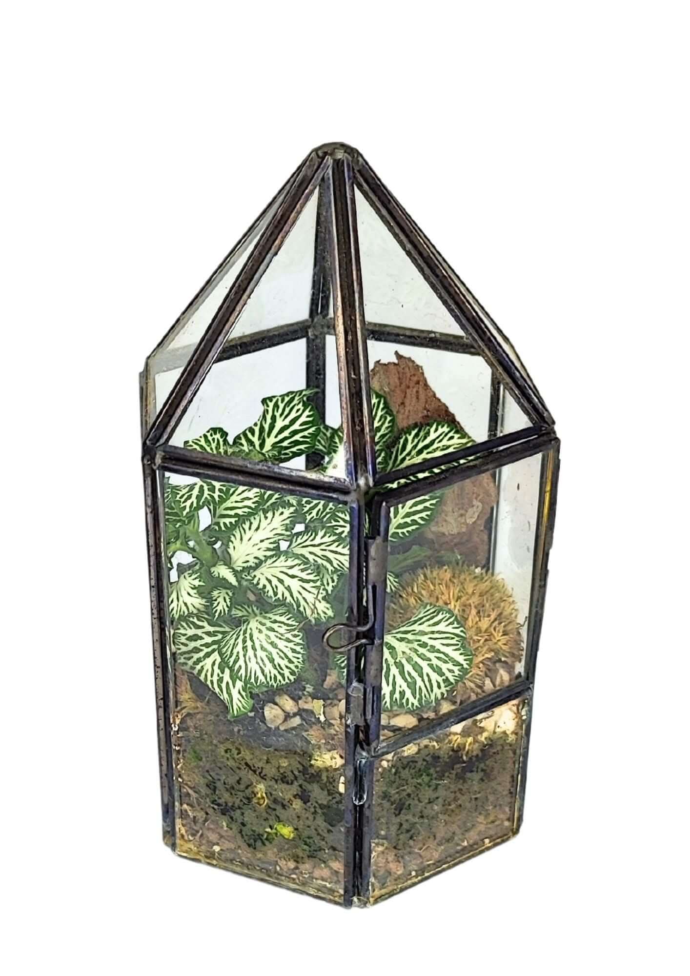 Terrarium geometrico Serra di Cristallo - Nootje store