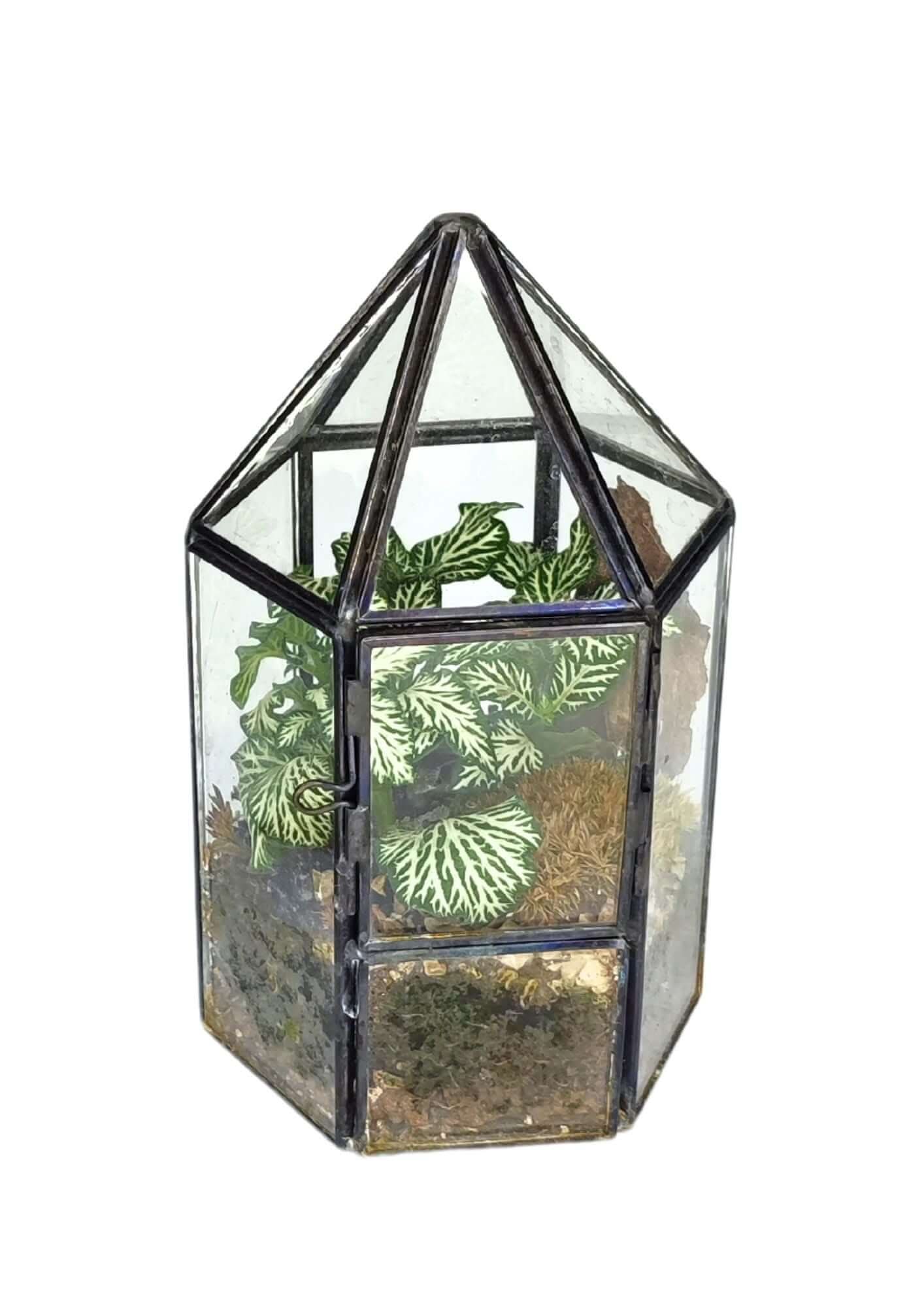 Terrarium geometrico Serra di Cristallo - Nootje store