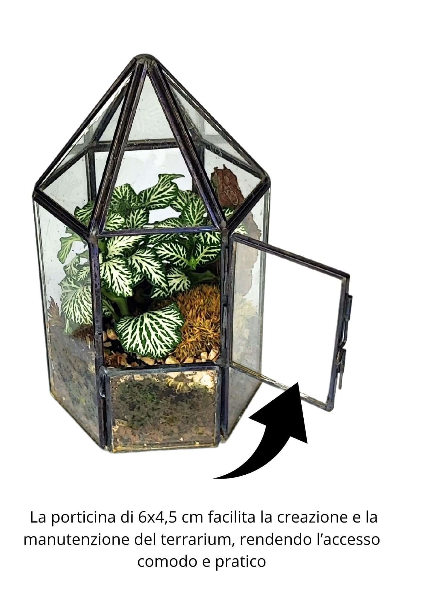 Terrarium geometrico Serra di Cristallo - Nootje store