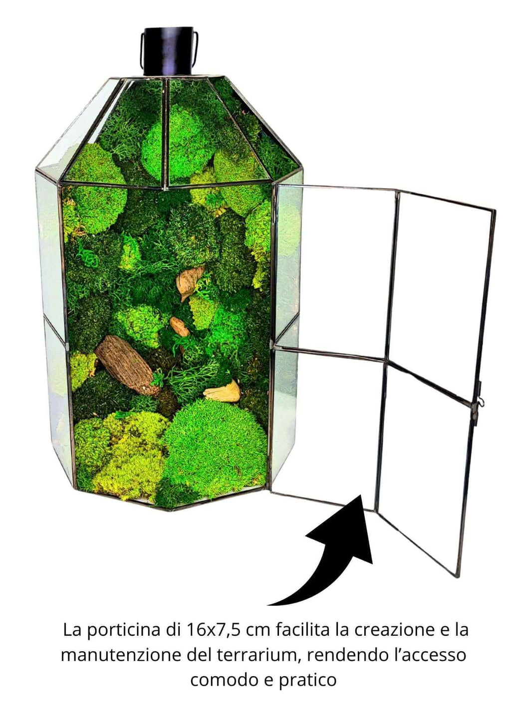 Terrarium geometrico Torre di Vetro 2TR077 - Nootje store