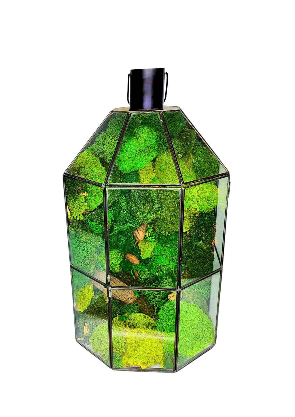 Terrarium geometrico Torre di Vetro 2TR077 - Nootje store
