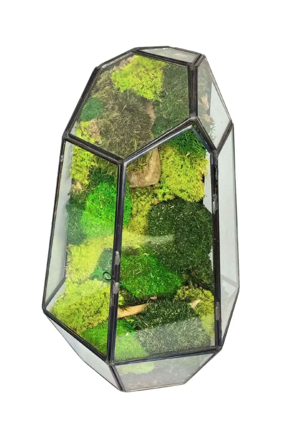 Terrarium geometrico Universo di Vetro 2TR067 - Nootje store