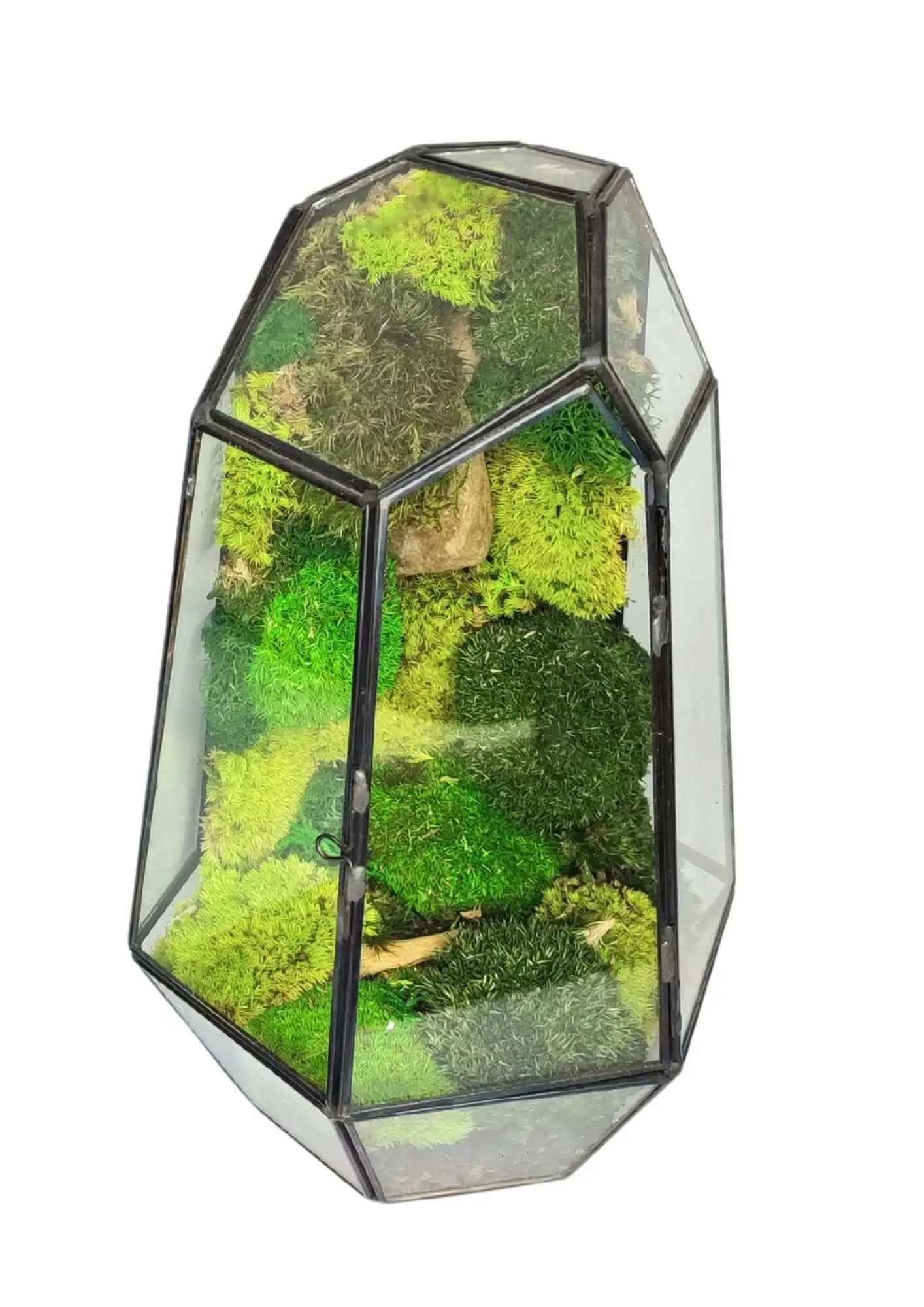 Terrarium geometrico Universo di Vetro 2TR067 - Nootje store