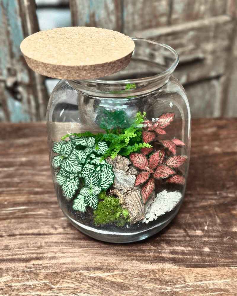 Terrarium Giardino Segreto 049 - Nootje store