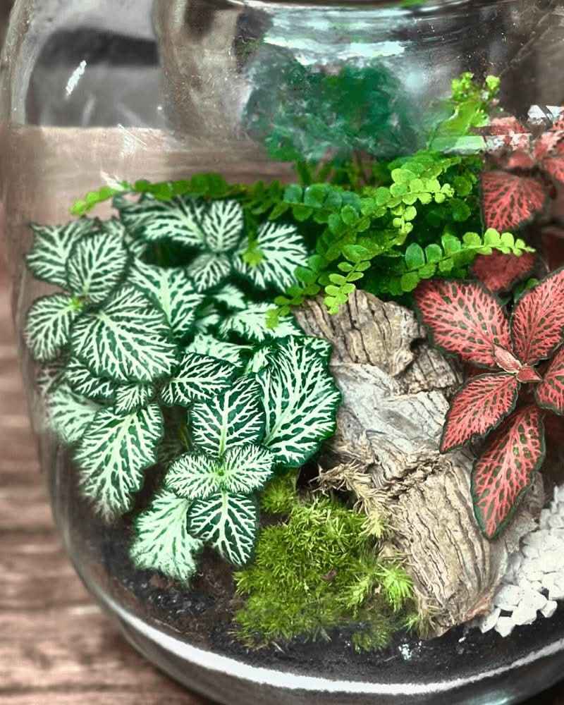 Terrarium Giardino Segreto 049 - Nootje store