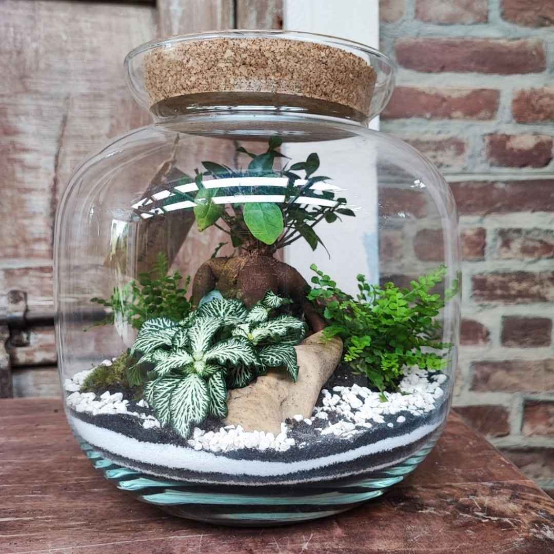 Terrarium Giardino Segreto Urbano - Nootje store