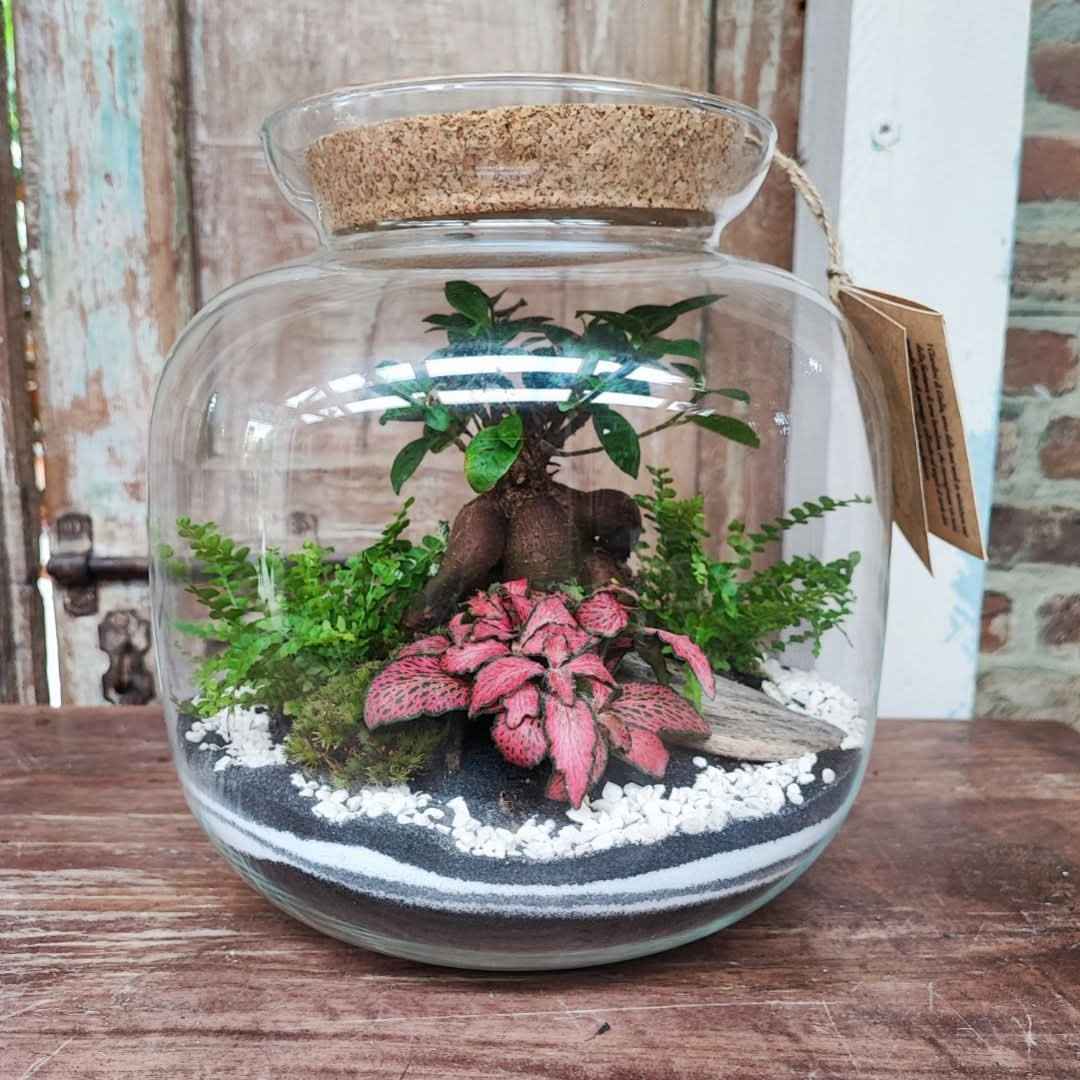 Terrarium Giardino Segreto Urbano - Nootje store