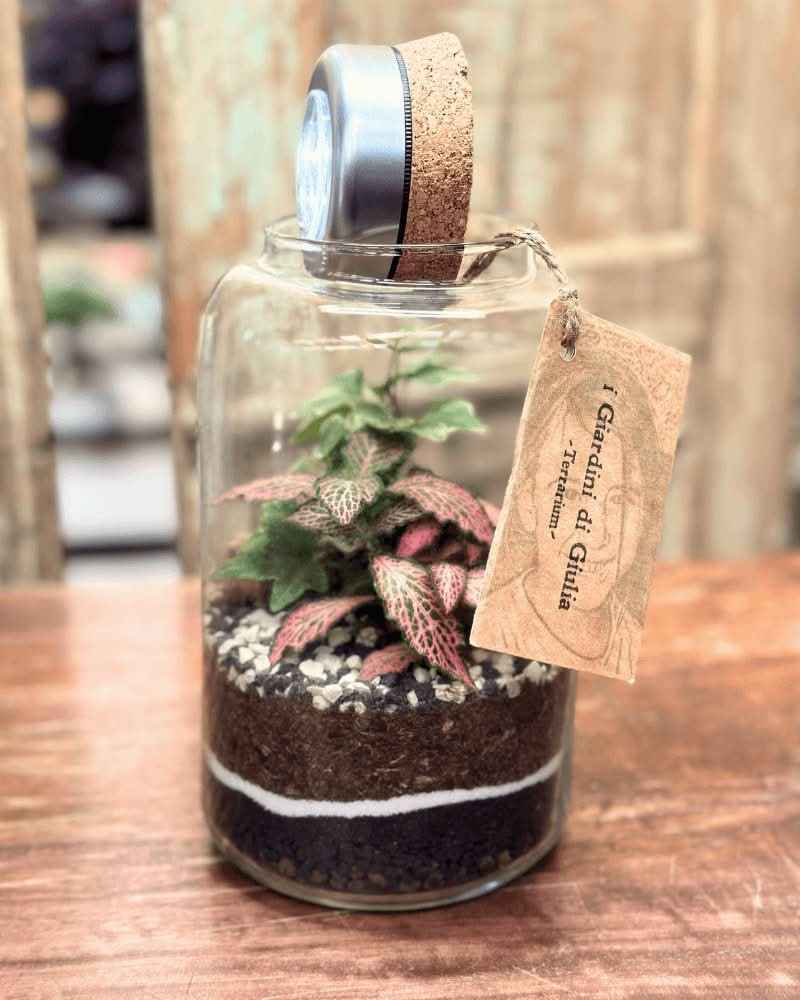 Terrarium Lumina - Nootje store