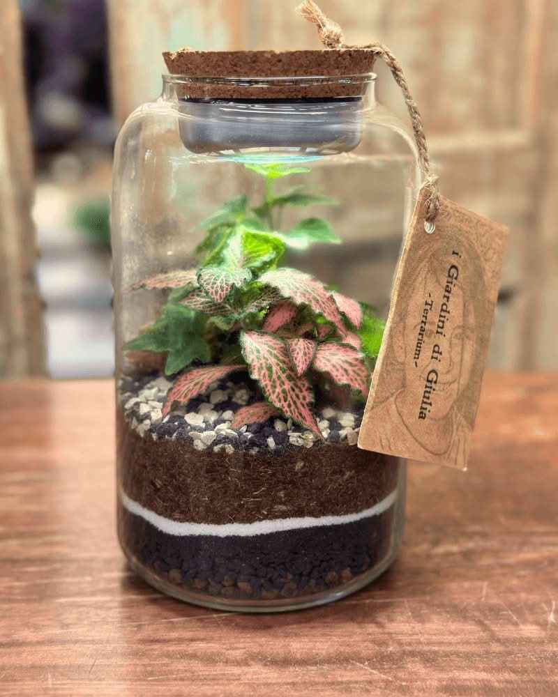 Terrarium Lumina - Nootje store