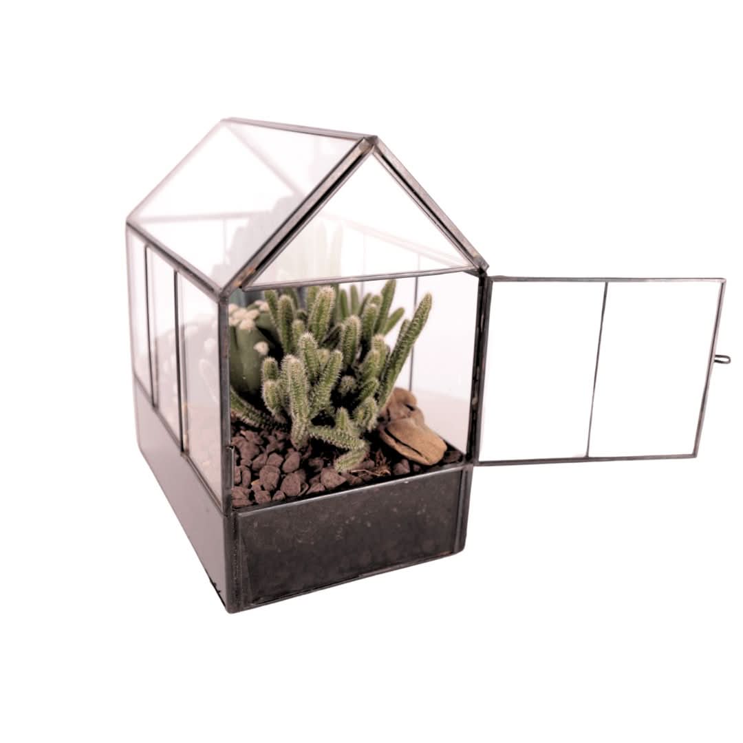 Terrarium Mini Serra con Piante Grasse 062G - Nootje store