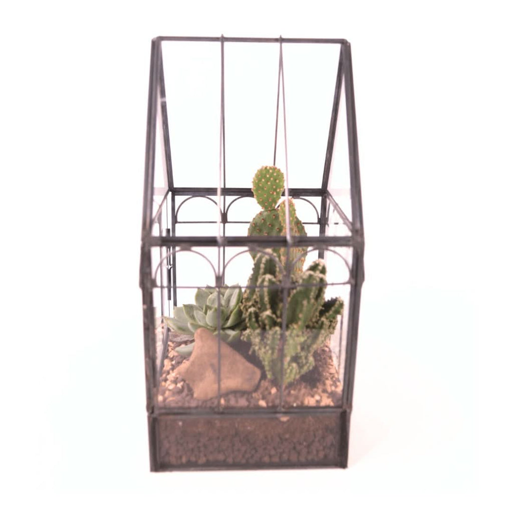 Terrarium Mini Serra Romantica con Piante Grasse 063G - Nootje store