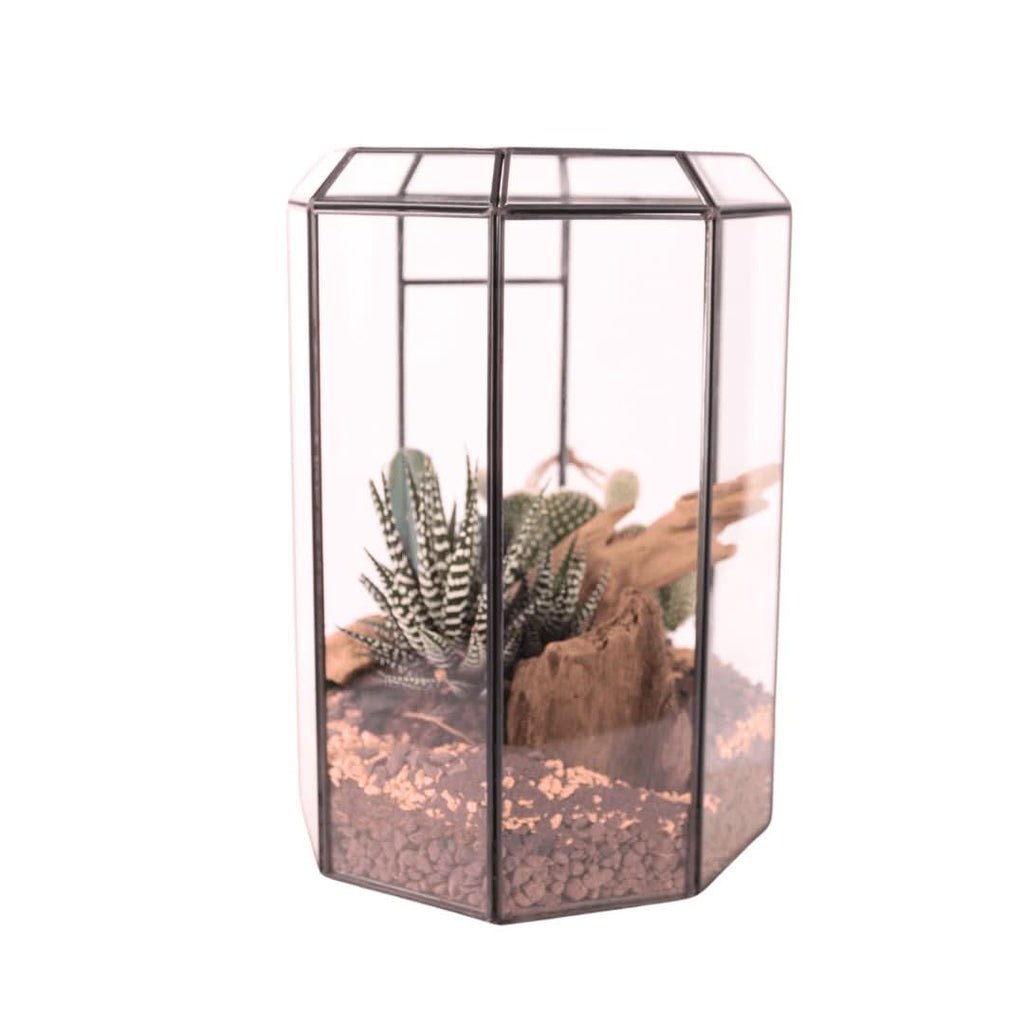 Terrarium Piante Grasse Serra Ottagonale Romantica 069G - Nootje store