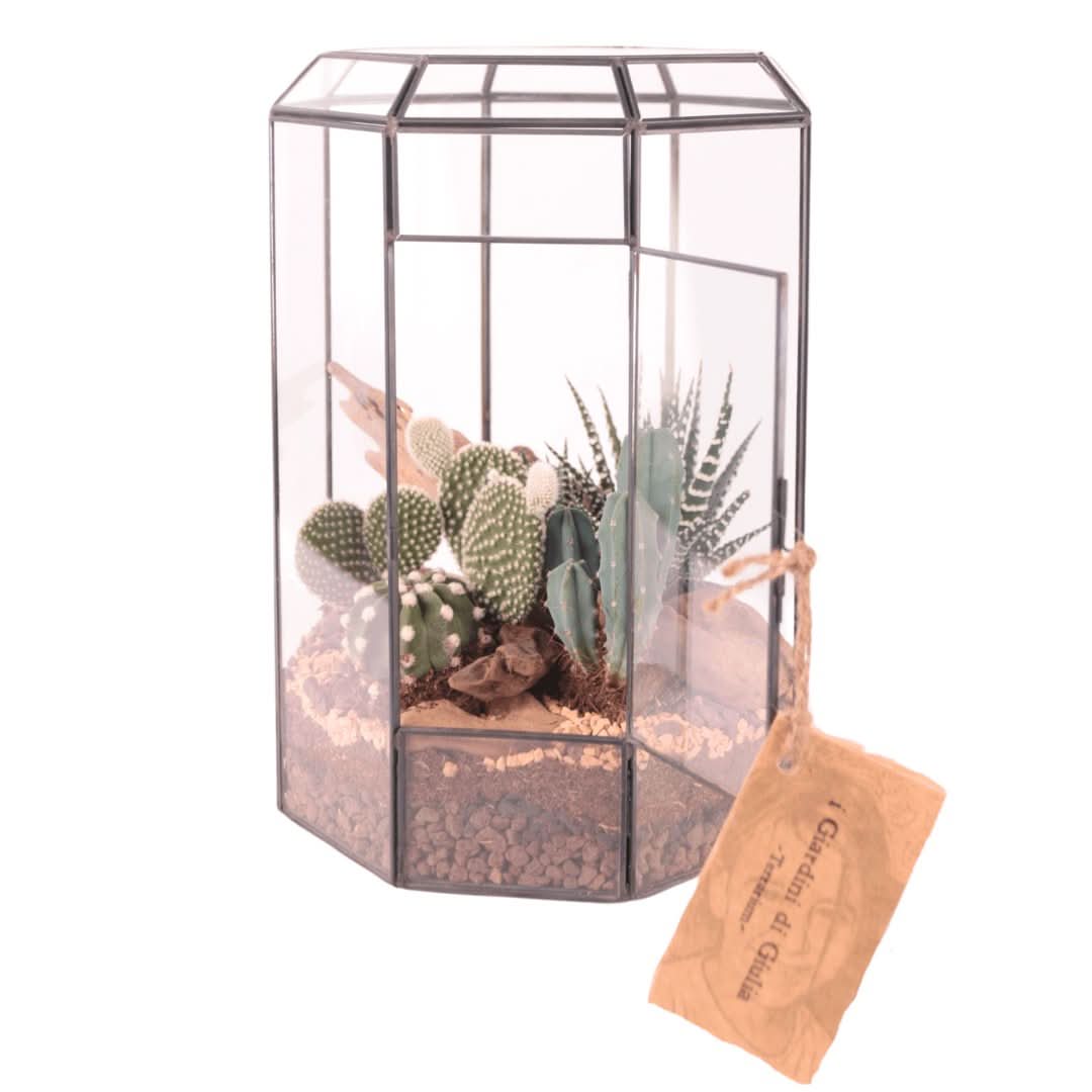 Terrarium Piante Grasse Serra Ottagonale Romantica 069G - Nootje store