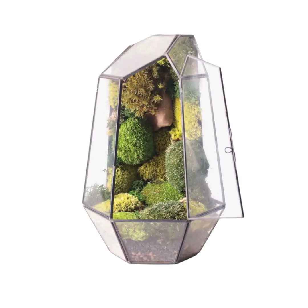 Terrarium Prisma green Stabilizzato - Nootje store