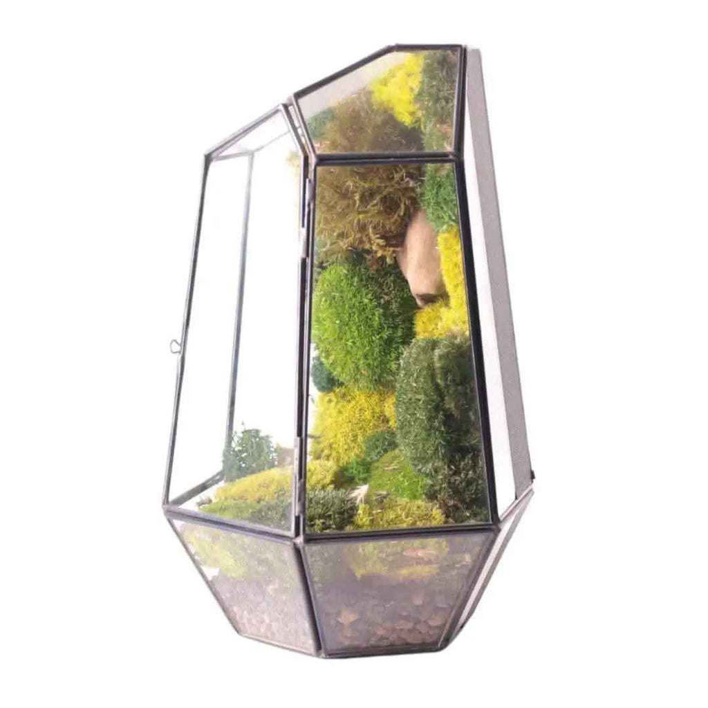 Terrarium Prisma green Stabilizzato - Nootje store