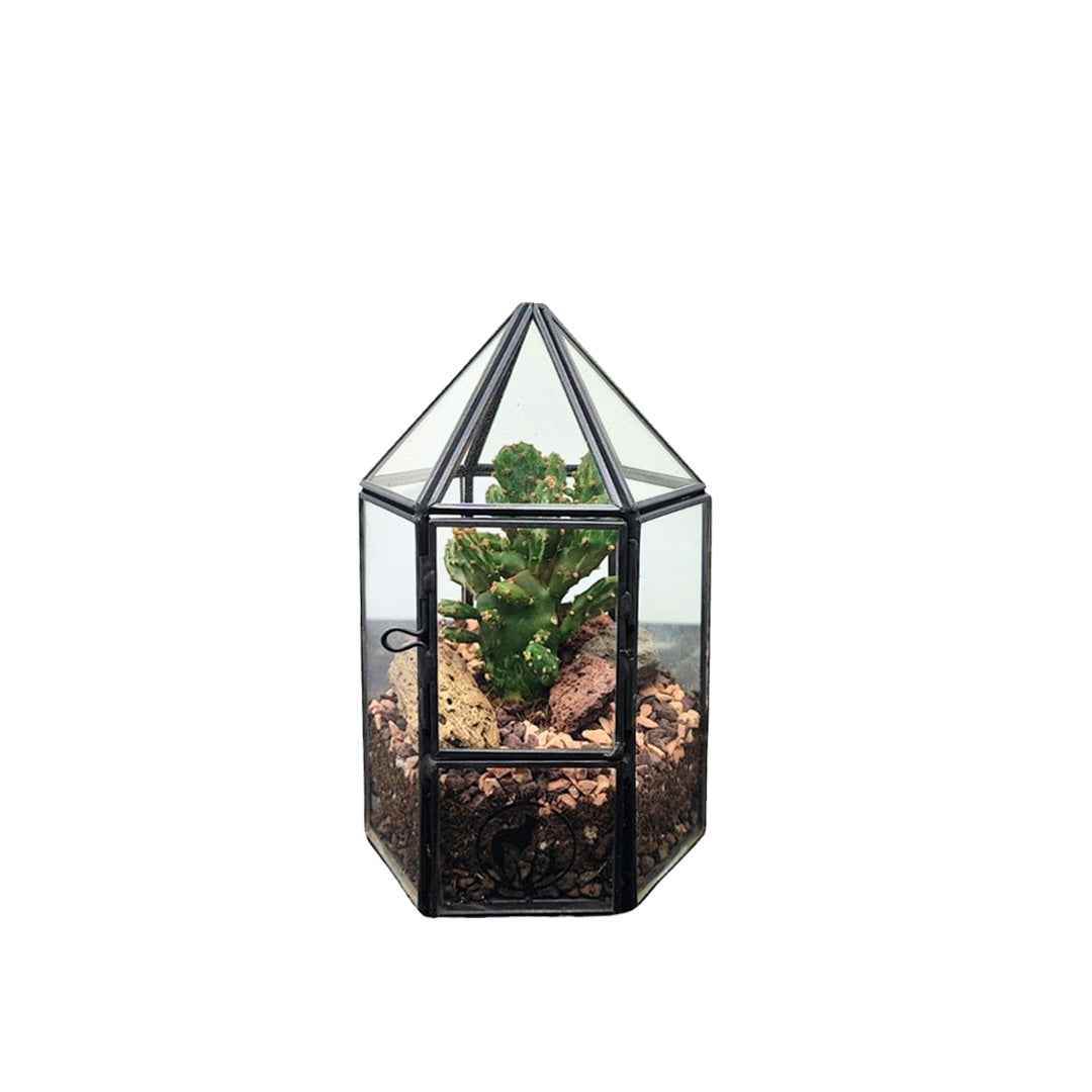 Terrarium geometrico Kira con piante grasse